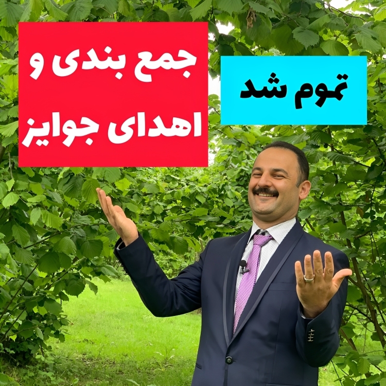 جمع بندی